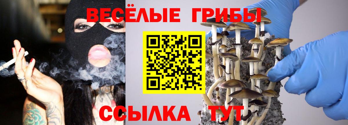 Псилоцибиновые грибы мицелий Балашиха