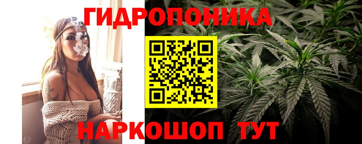 Бошки Шишки MAZAR  Канабис ГИДРОПОН  Балашиха  Вход с VPN 